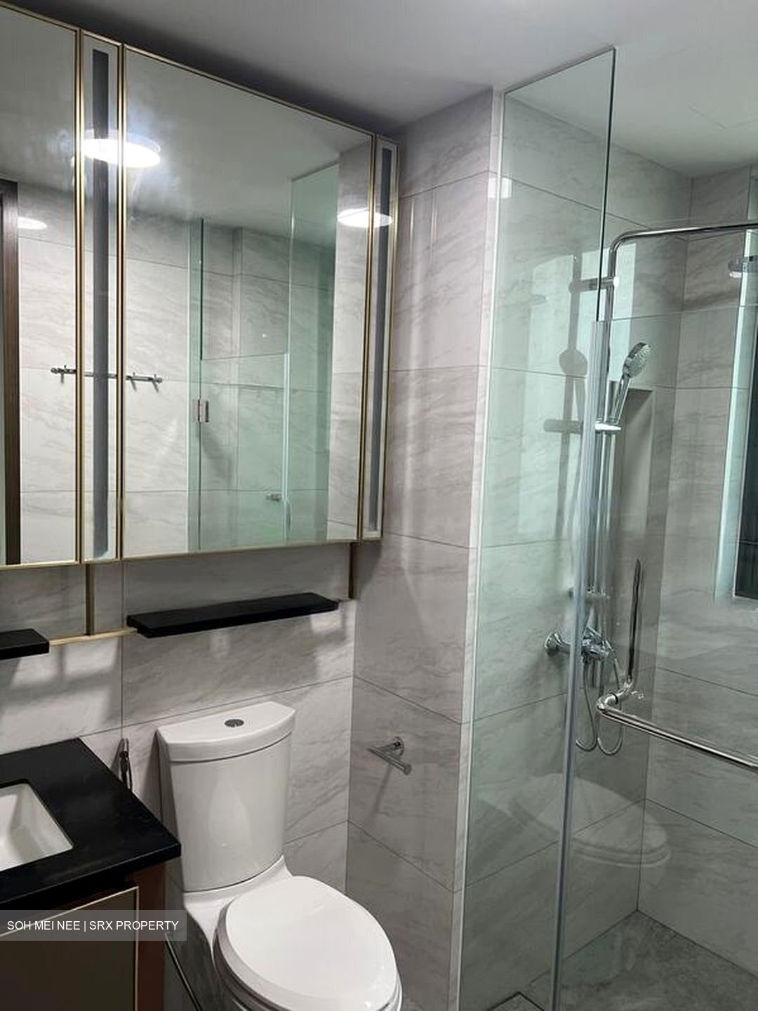 Normanton Park (D5), Apartment #457522431